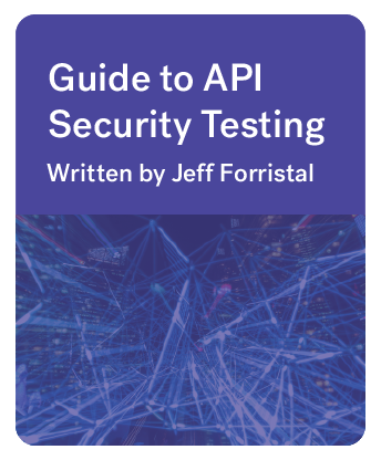 Guide to API Security Testing