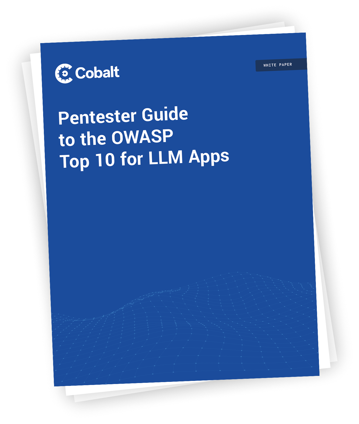 Pentester Guide to the OWASP Top 10 for LLM Apps